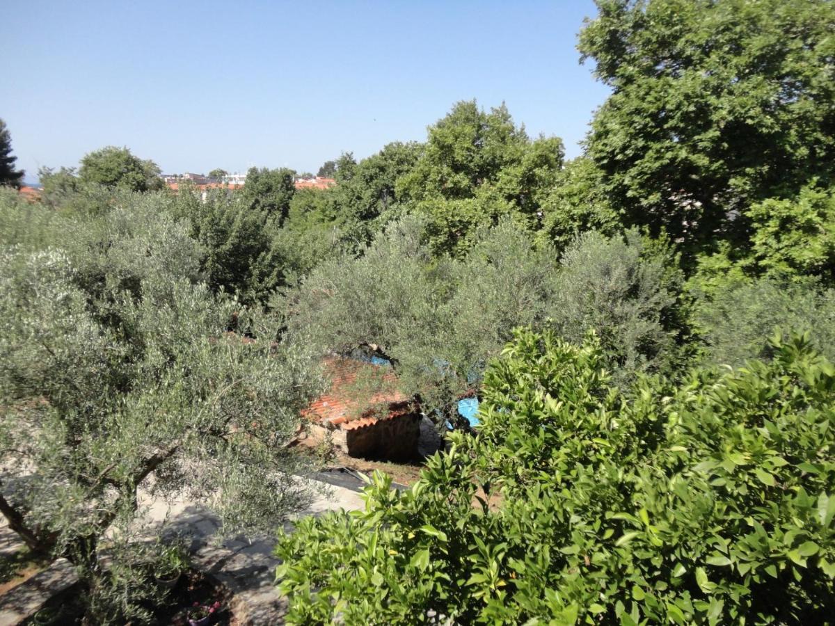 Hotel Makis House Nikiti  Exterior foto